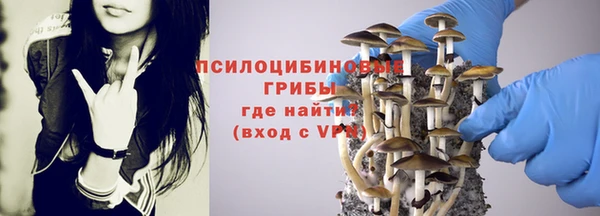 стафф Медвежьегорск