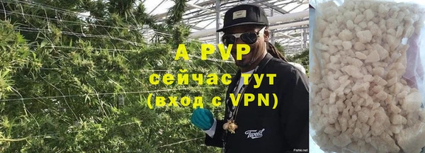 стафф Медвежьегорск