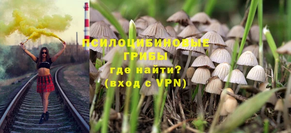 стафф Медвежьегорск