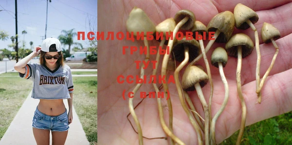 а пвп мука Медногорск