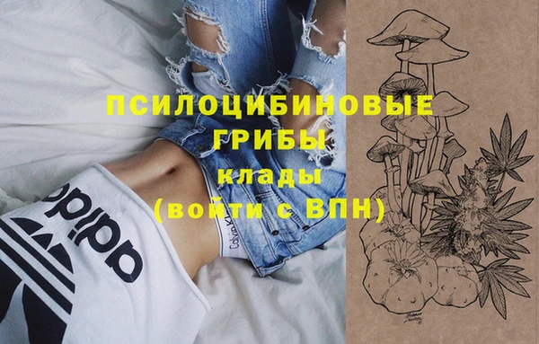 стафф Медвежьегорск